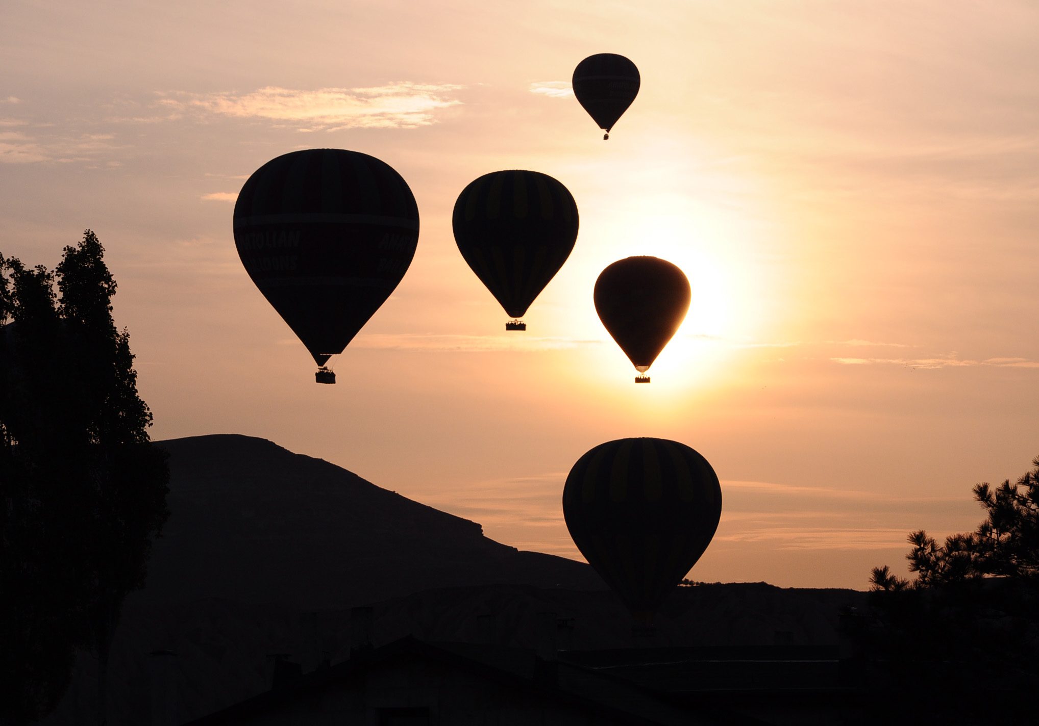 DSC_0879 DSC_0879
